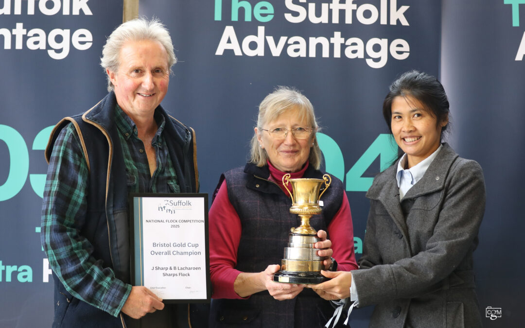 National Flock Competition 2025 View Day