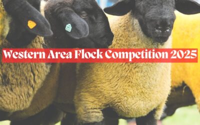 Western Area Flock Competition 2025