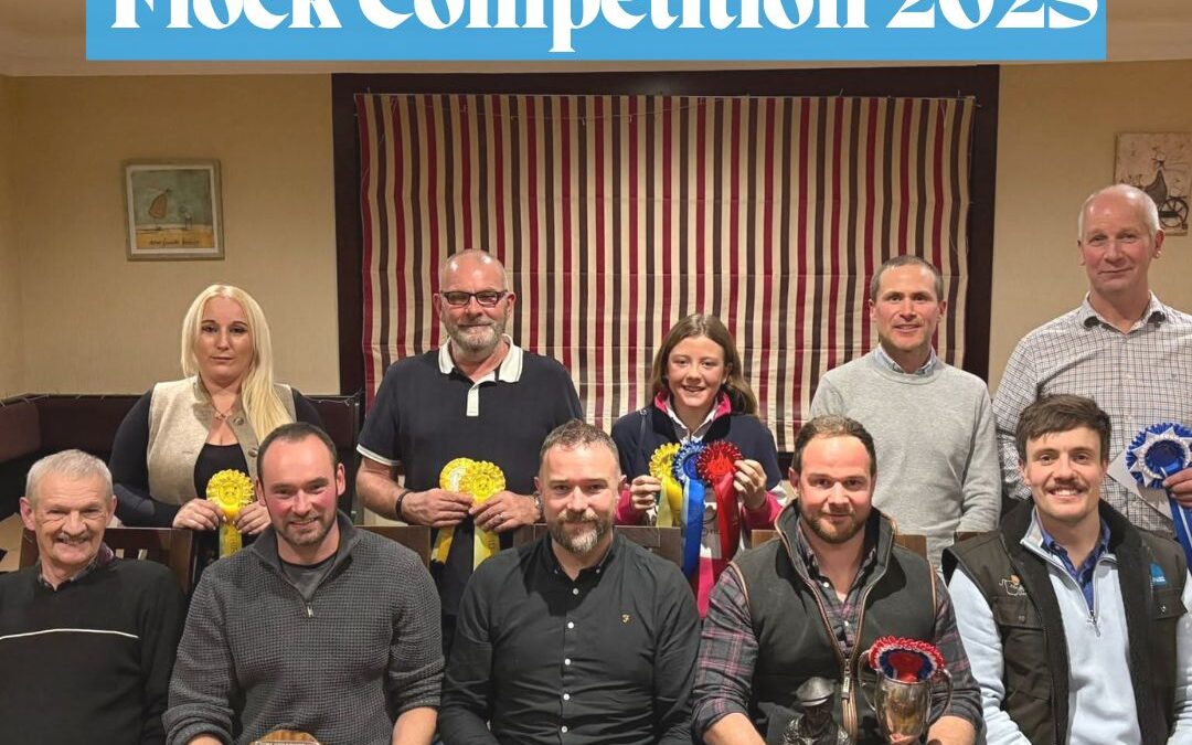 Tayside Suffok Breeders Club Flock Competition 2025