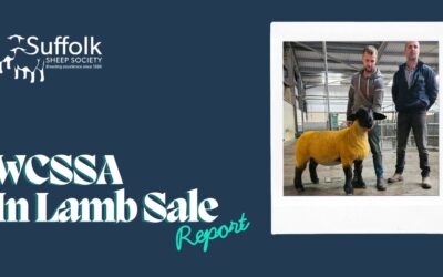 West Country SSA In lamb sale 2025