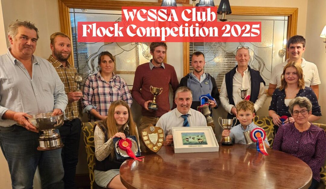 Westcountry SSA Club Flock Competition 2025