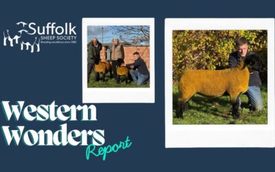 SUFFOLKS SOAR AT WESTERN WONDERS