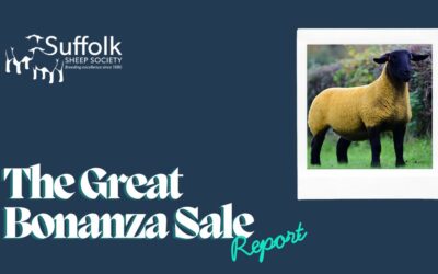 The Great Bonanza Sale 2025 tops at 13,000gns on three occasions!