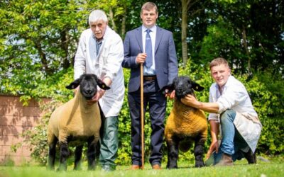 Western Area Branch Welsh National Suffolk Show 2026