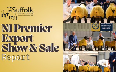 NI Premier Export Show and Sale 2026