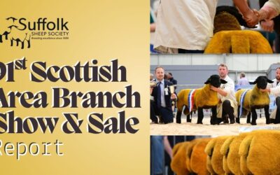 91st Scottish Area Branch Show and Sale – Lanark 2026