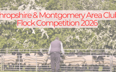 Shropshire and Montgomery Club Flock Competition 2026